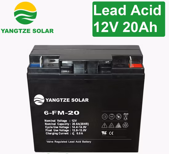 Yangtze 2019 Best Batteria 12V 48V 20ah 1000W