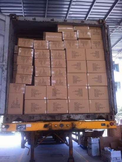 Custom Bamboo Electric Professional Double Rocker Fish Skateboard